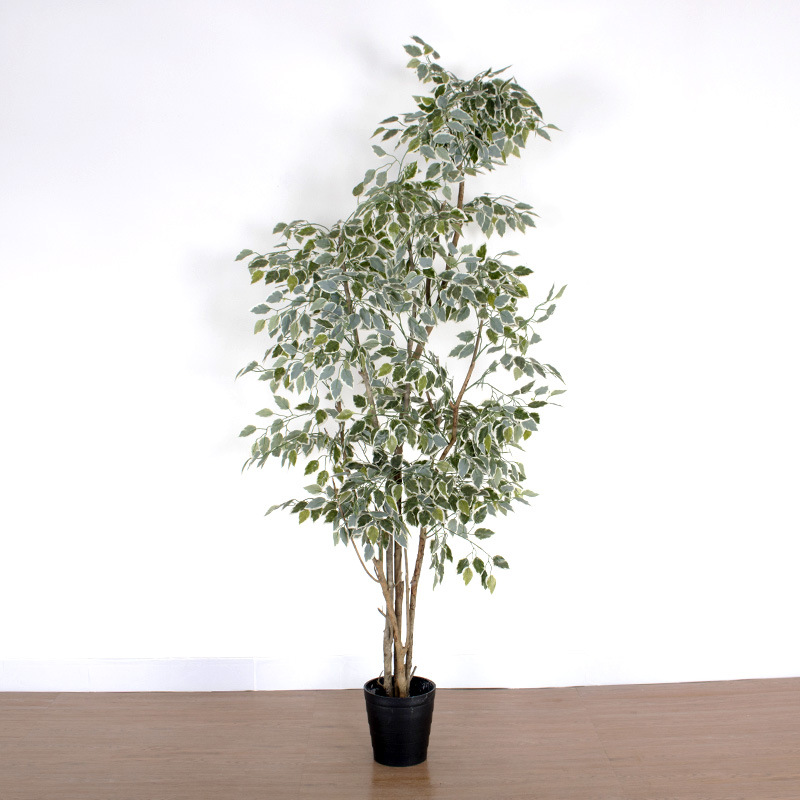 Simulación de decoración de paisajismo interior a gran escala, árbol de higuera verde, árbol de paisaje real, árbol de higuera de borde blanco, planta verde, árbol falso en maceta image 8