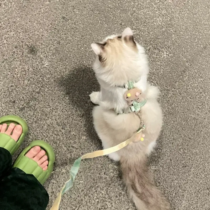 Кошачий буксирный трос может быть отрегулирован, чтобы предотвратить оторваться от кошачьей веревки