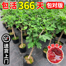 �o����������ش�����Ԙ����Ϸ����������Ϙ������tͥԺ�ļ�����