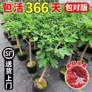 �o����������ش�����Ԙ����Ϸ����������Ϙ������tͥԺ�ļ�����