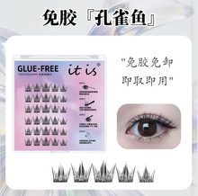 ��ȸ�~�ٽ�ë~�����������۽�ë��Ȼ���ּ���؈���`��ȻС��ħ