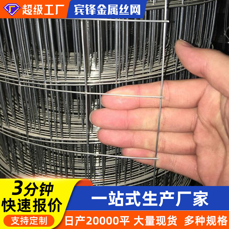 电焊网建筑内外墙抹灰铁丝围栏网圈玉米养殖网防裂网定制镀锌钢网