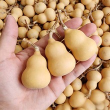 �ֶպ��J �ֶպ��J���l �ĳǺ��J������J�������JС���J���l