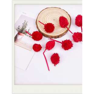 �ɻ��ɹ������Nֲ������N���ֹ�diy����F���׃��@�b�������