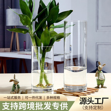 花瓶插花高级感直筒花瓶透明玻璃瓶富贵竹花瓶绿萝圆柱瓶插花器
