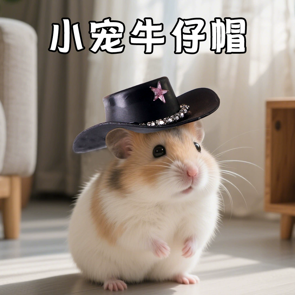 Denim hat, Amazon, halloween, dress up