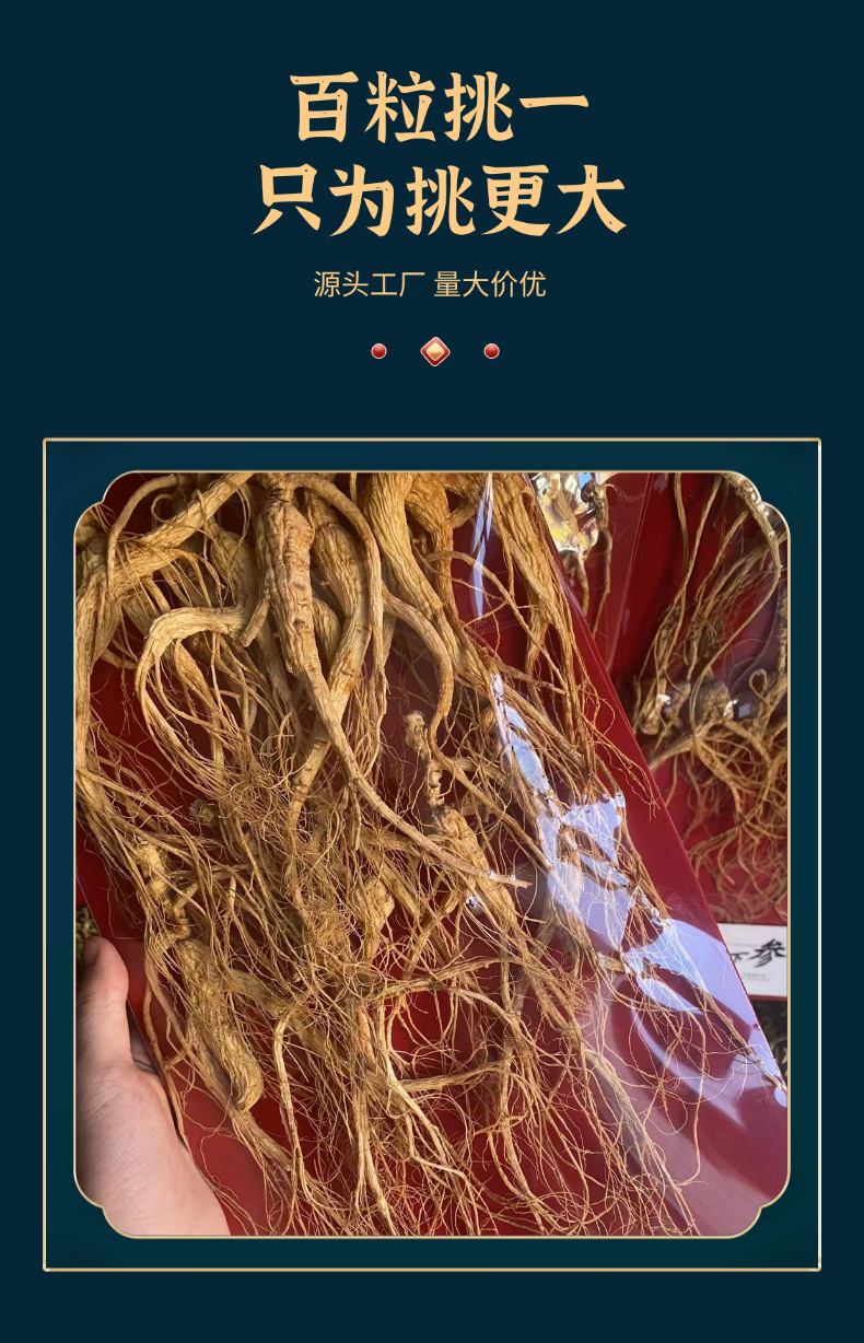 Dried Forest Ginseng Root 200g Sun Dried Jilin Ginseng for Cooking and Decoction quality and texture