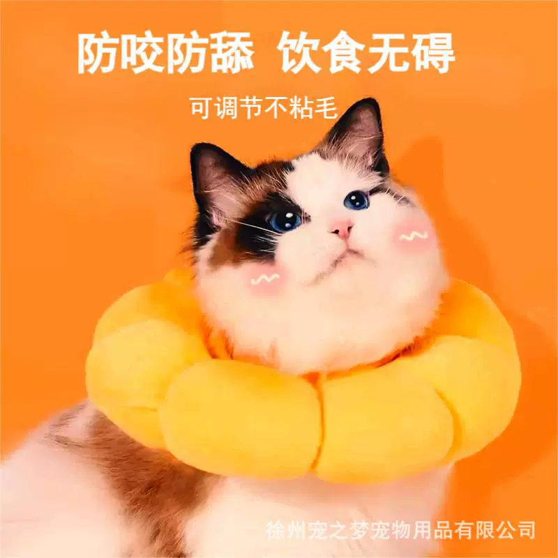 Подсолнух елизаветский ошейник для домашних животных Кошка Елизавета ошейник стерилизация ошейник для пса