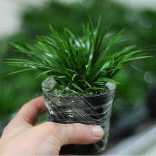 ����΢���S����X�F�����Ի���S���҃�ˮ�ˮ���쾰��ʯ�辰�Gֲ