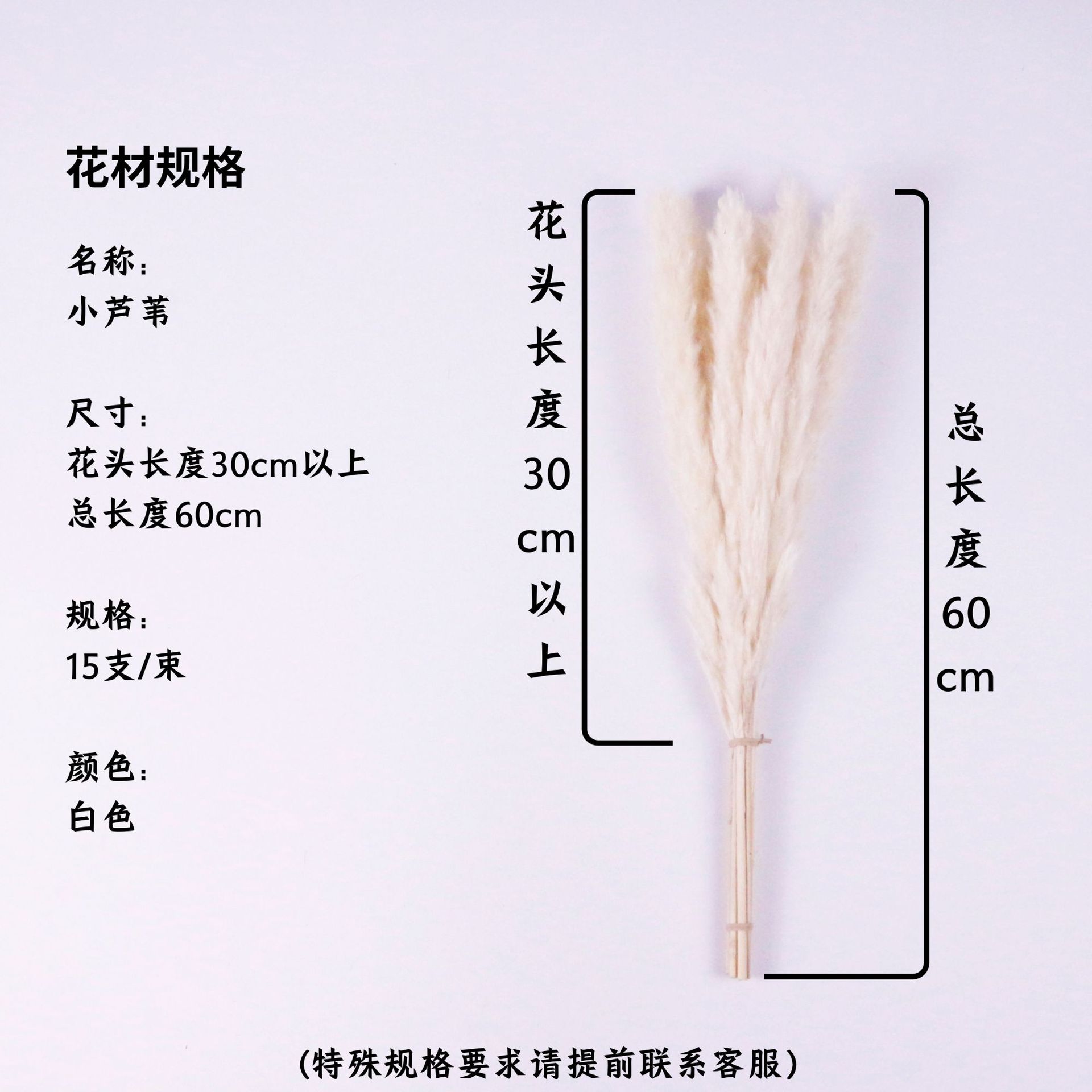 흰 꽃 머리 30cm 이상