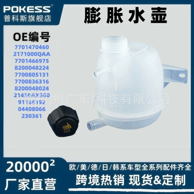 7701470460 Auxiliary Water Tank Suitable for Renault Clio/Duster/Kangoo 2171000Qaa (Water tank)