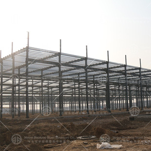 Cangzhou Steel Structure Manufacturers Direct Sales of Global Steel Structure Plant Warehouse Single-Decker Multi-Storey Steel Structure Projects