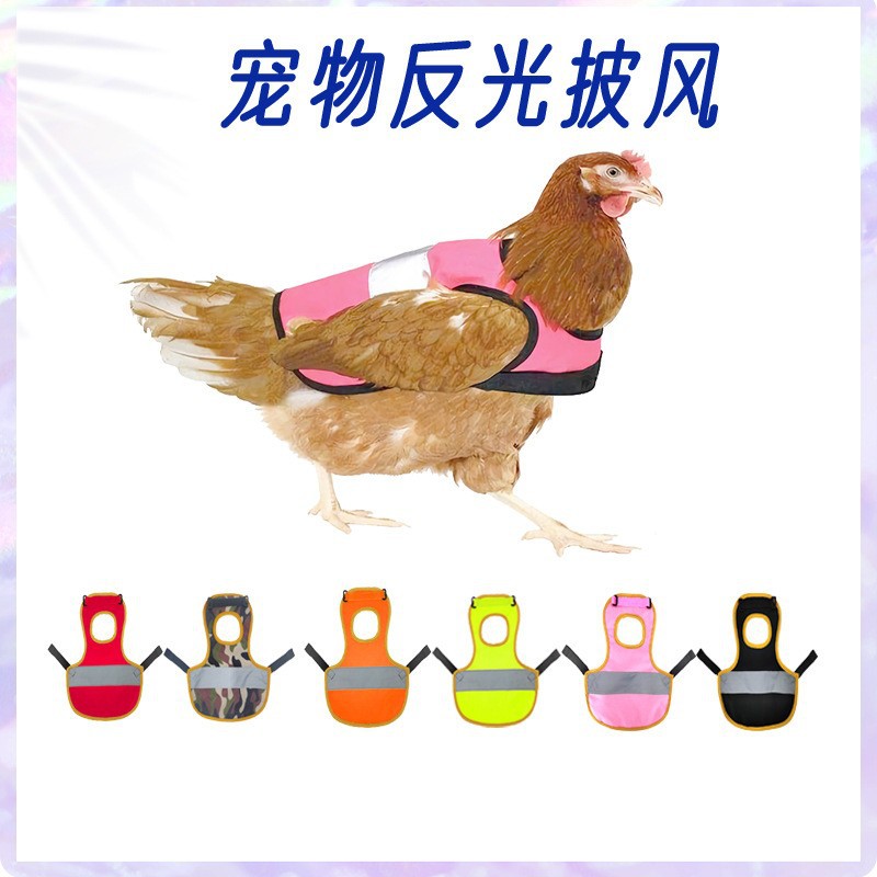 Amazon nueva ropa para mascotas pato chaleco reflectante capa Otoño e Invierno Chaleco de pollo impermeable