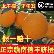 江西特产新鲜橙子赣州信丰当季现摘纯甜水果顺丰10斤