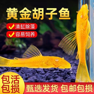 �S������~�S�������~�����~�^�p�~�坍�~���~������~�S���