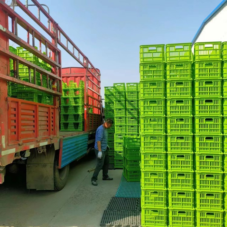 塑料鸡蛋筐源头厂家 鸡蛋运输筐供应商   孵化场蛋筐塑料种蛋筐