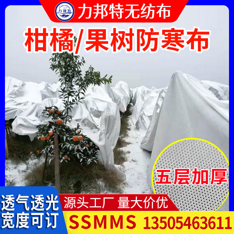 厂家白色柑橘防寒布果园防霜布透气拒水保温农业果树防寒无纺布
