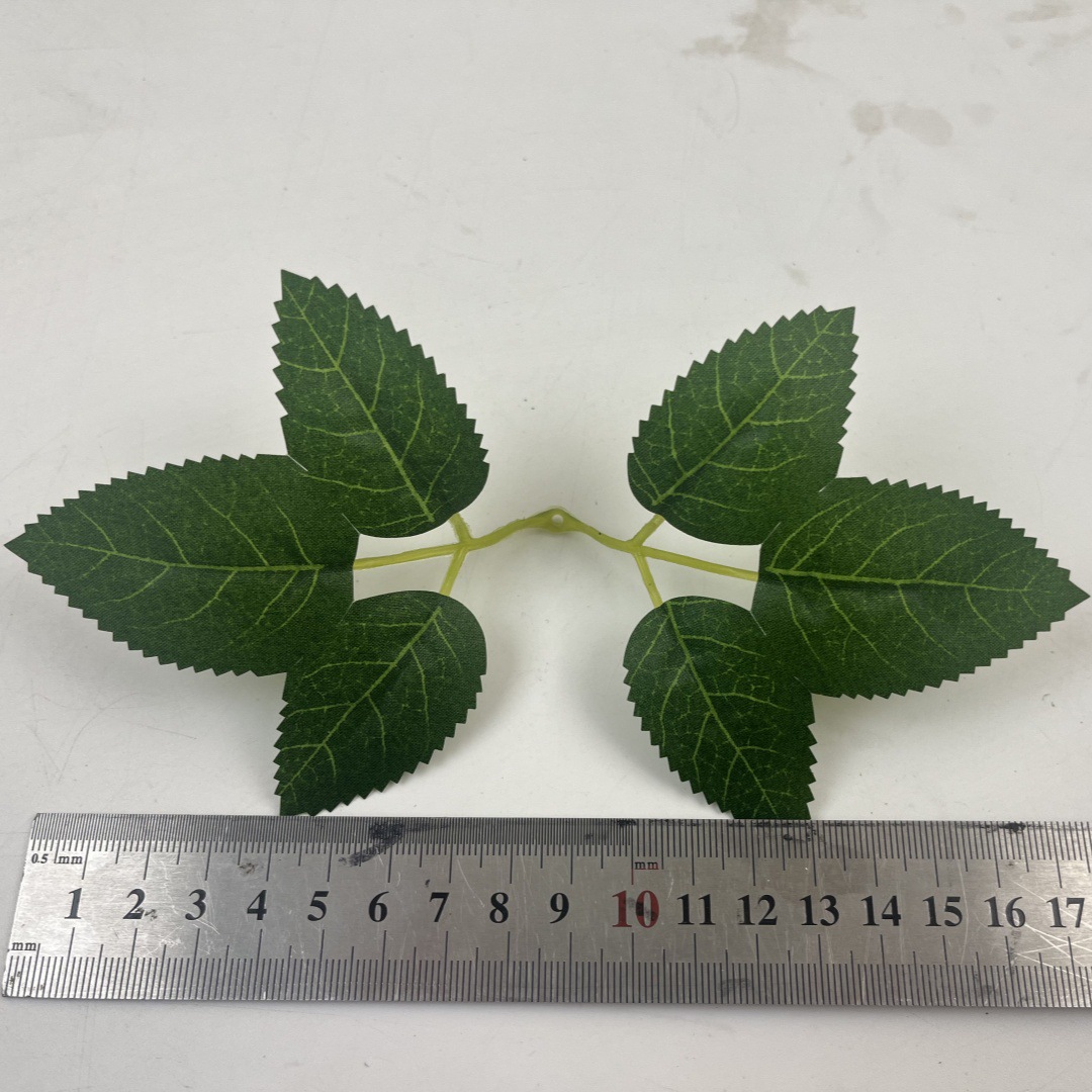 2025_02_18_12_00_IMG_4378_副本