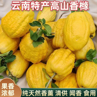 ������r�㙴���ָ̹��^�p�幩��ʳ���҃�܇�d��޹�羳؛Դ
