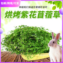 包邮2024年紫花苜蓿草干草 兔子龙猫荷兰猪苜蓿草牧草豚鼠粮草