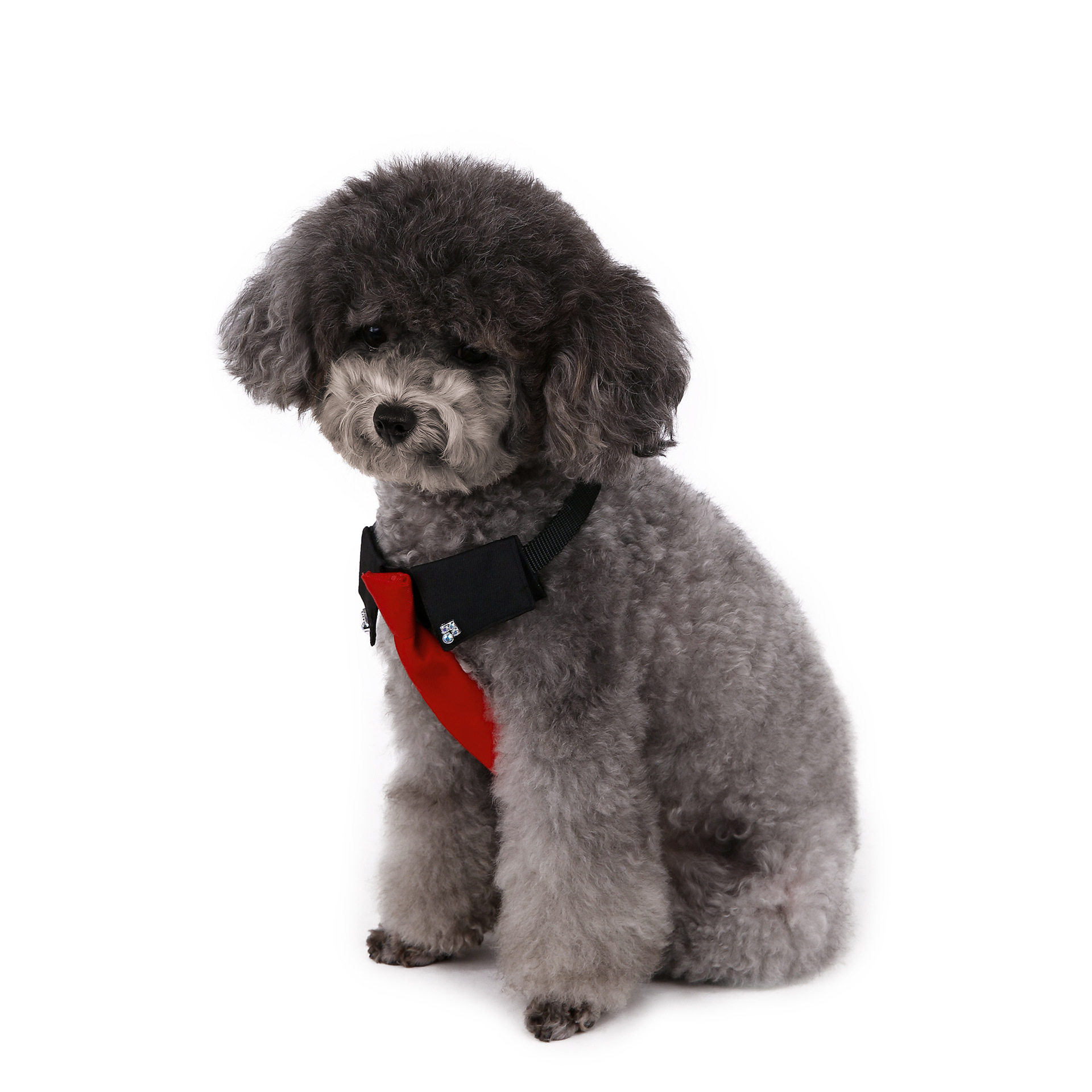 Perro transfronterizo estilo británico guapo traje de boda ropa de perro corbata collar decoración al por mayor