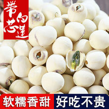 2025���ذ�ɏ��ȥо��о�o�����؛�����ɟo��ѬҰ�����rĥƤ