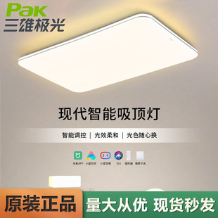 Sanxiong Aurora Living Room Lamp, Bedroom and Restaurant Modern Simple Whole House Combination Package Soft Line Led Ceiling Lamp