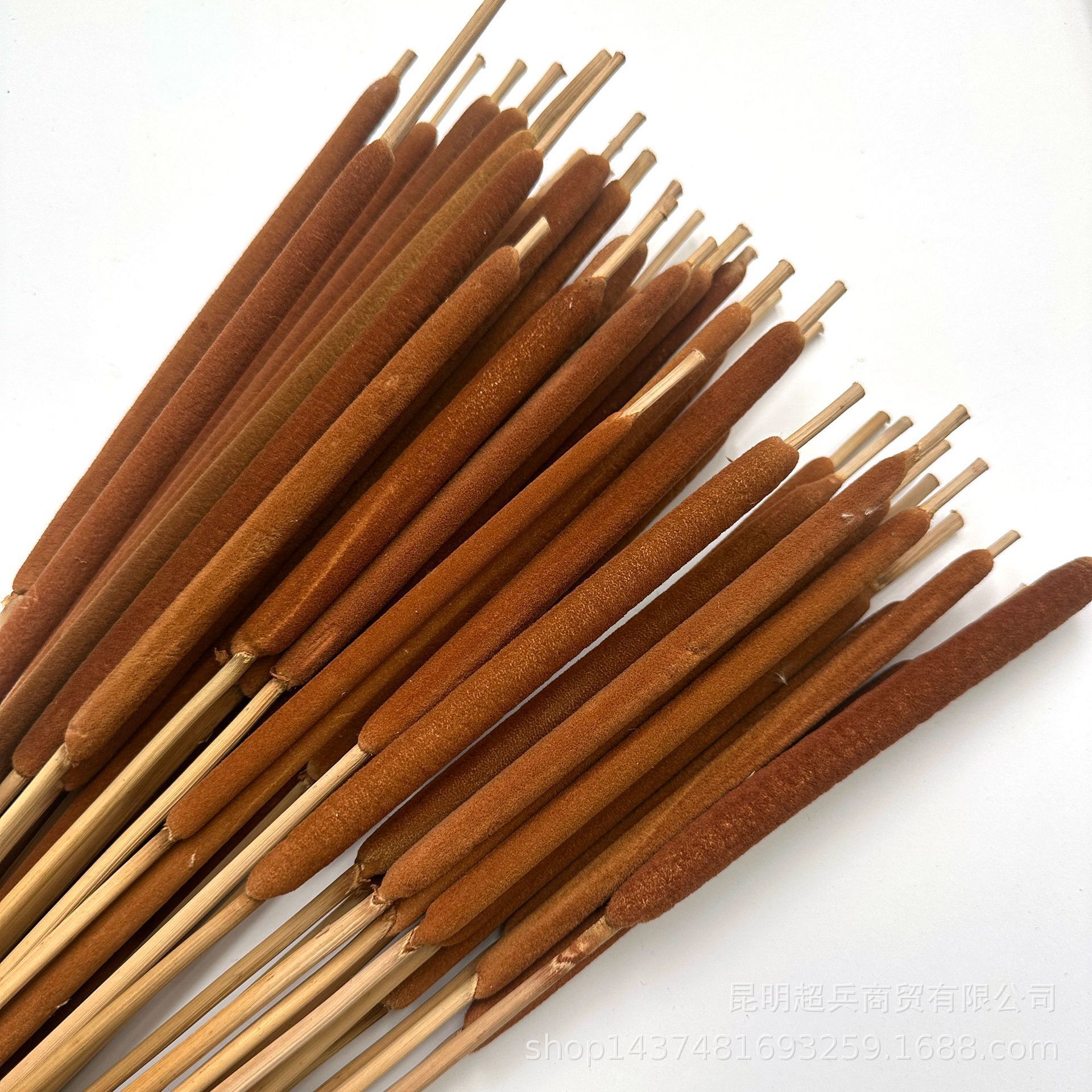 【蒲棒】珍珠蒲棒香蒲棒水蜡烛跨镜电商干花货源毛蜡烛干花花束