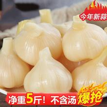 ɽ�|�Ǵ���5��/1���b������^���̲��u�����l