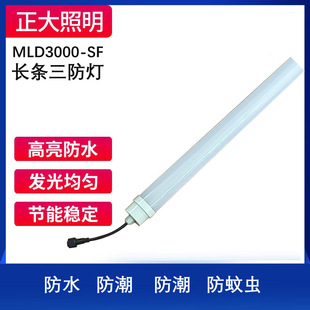 Long Strip of Three-Proof Lamp, Moisture-Proof, Waterproof, Dust-Proof and Mosquito-Proof Linear Lighting Ip65 Outdoor Swimming Pool Three-Proof Lamp