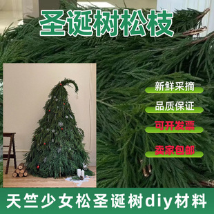 Փ��Q���r������Ů���}�Q����֦�}�Q�b���ɼdiy�}�Q����