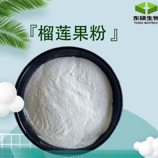 榴莲果粉 原料 榴莲粉 浓缩粉 色泽均匀 榴莲果粉 现货供应 包邮