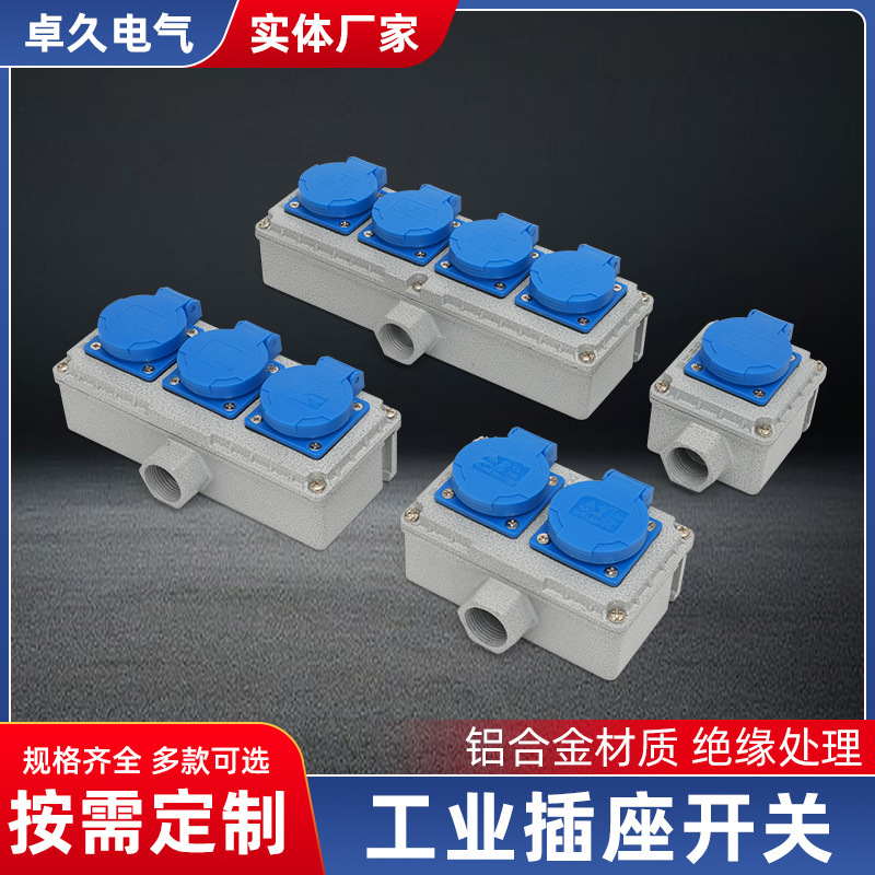 通用10A/16A多孔86型工业插座工业插座开关220V五孔十孔明装暗装