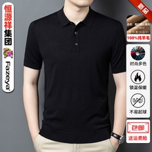 纯羊毛男士针织衫2025秋季新款短袖翻领羊毛POLO衫长袖t恤男正品