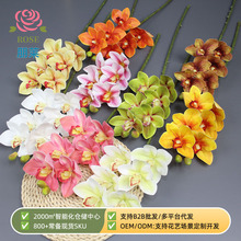 ���滨6�^ޥ�m���Q����3D��ӡ���w�zƬ�ָд�ޥ�m�Ҿ��b�