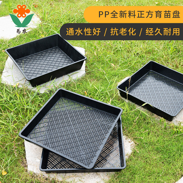 Greening planting pot container plate Buddha armor planting plate…