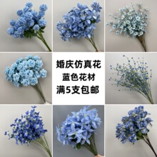 �¿��c�{ɫ���ķ��滨ĵ���ȼ���õ�廨�Ļ�Y���bҾӔ[�Ż�