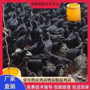 ����Ó��С�u�л��w��ھG�����u��ڞ��u��ɽ�ط��BС�_�ܵ��u��