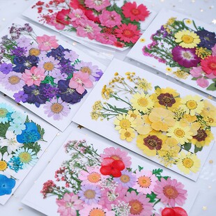 ������Ѻ���������ϰ�����~ֲ��˱����z�֙C���ɻ�����DIY��