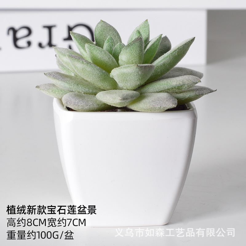 Simulación de plástico carnoso bonsai flor falsa combinación oficina interior escritorio plantas verdes pequeños adornos plantas artificiales al por mayor image 58