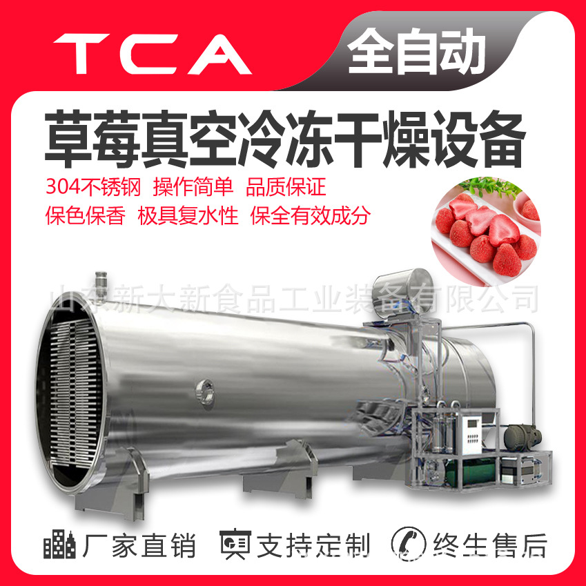 新大新工厂直供冻干机设备 真空冷冻干燥机 草莓真空冷冻干燥设备
