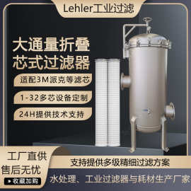 大通量折叠滤芯过滤器大豆蛋白鱼蛋白残渣过滤机厂家工艺技术支持