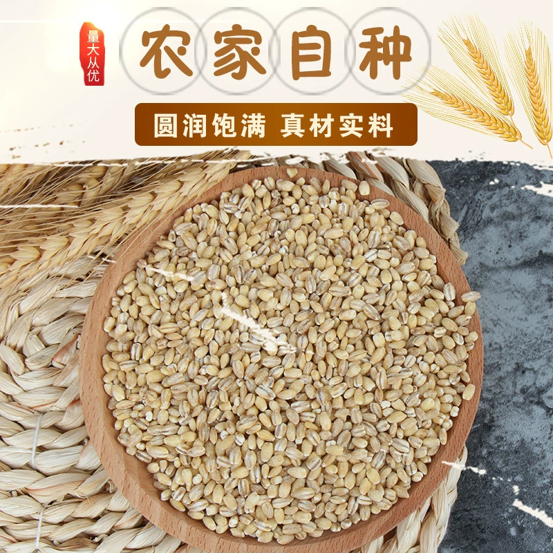 Пищевые приготовленные ядра ячменя на завтрак