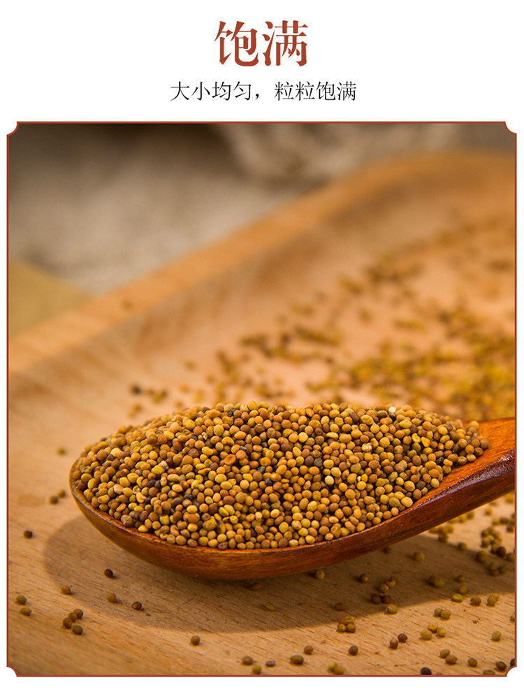 Dried Cuscuta Seeds Tu Si Zi 500g Chinese Dodder Seeds for Tea Wine and Decoction specifications