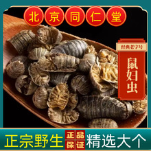 Ұɽ��D�x��D�x��D�x ���x ��ʭ��������ÈF���x��؛��؛