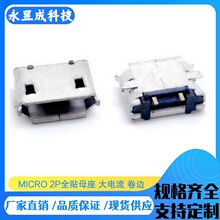 MICRO 2P�NƬĸ�� ����� ���_ȫ�NSMT 1.2�_ ���� ��߅ �~���F�a