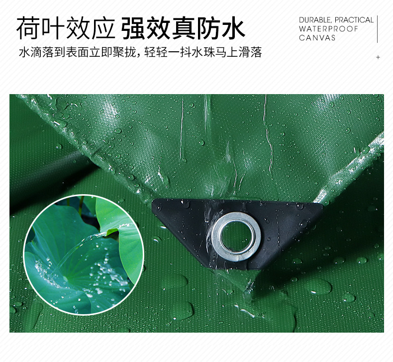 绿色加筋刀刮布详情页