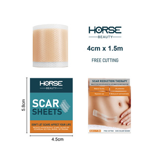 �羳����F؛HORSE���z��ճ�̺��N���o�����g�����o���������N�F