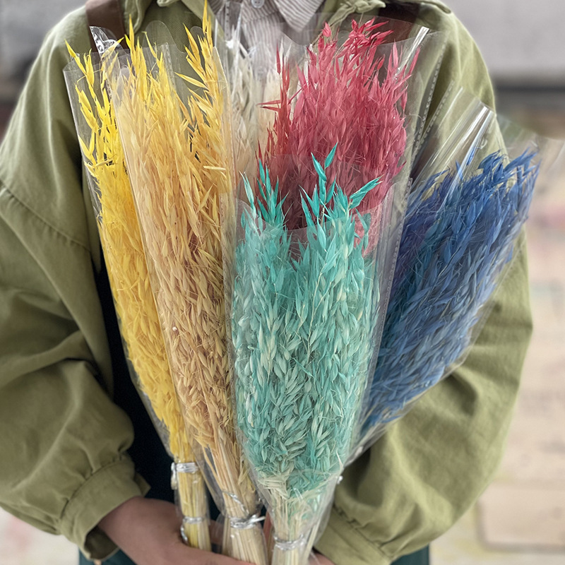 Oatmeal dried flower guest restaurant home decoration DIY material wholesale bouquet creative internet-famous photo prop preserved flower