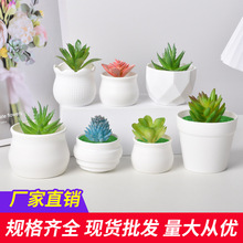 仿陶瓷塑料花盆迷你盆栽植绒泡沫袖珍拇指多肉仿真种植盆摆件防摔